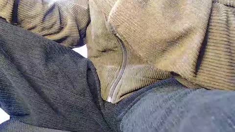 Noah Millers online show from 01.20.25