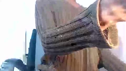 Noah Millers online show from 01.27.25