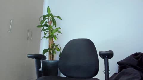 Noah online show from 02.11.25