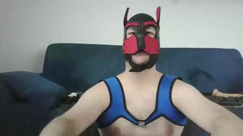 noapratzfr online show from 03.11.25