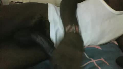 noella1234 online show from 03.29.26