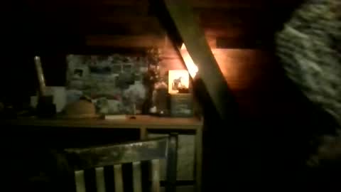 Nola online show from 03.13.26