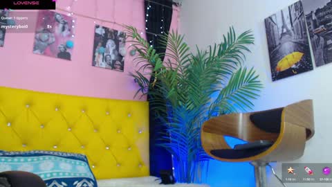 Nolan  online show from 01.09.25