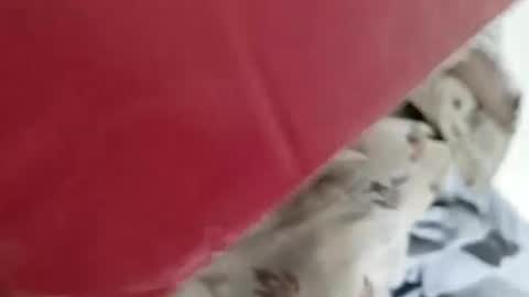 sim  nib online show from 01.04.25