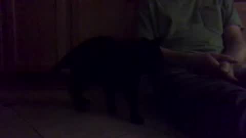 Noodles online show from 01.16.26