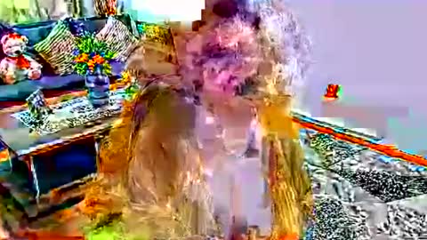 noraj66 online show from 03.23.26