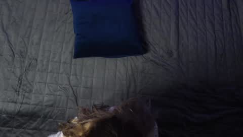 Eva online show from 12.11.24