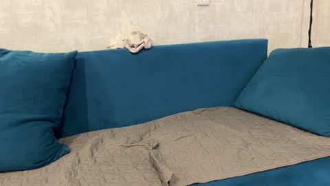 Eva online show from 12.29.24