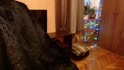 miss Tress online show from 12.28.24