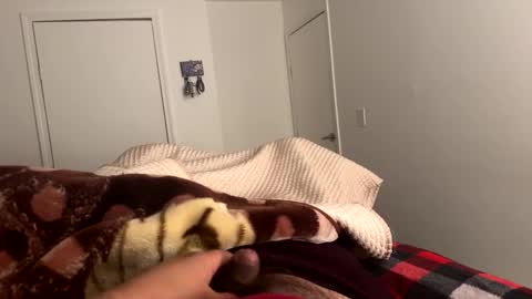 se le perdio algo perra hp online show from 02.24.25