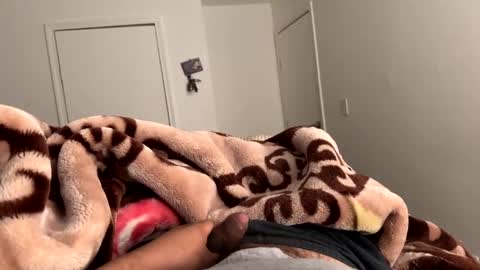 se le perdio algo perra hp online show from 03.07.25