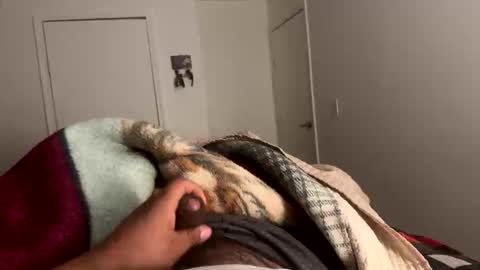 se le perdio algo perra hp online show from 01.15.26