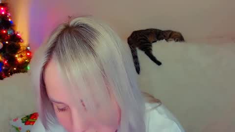 Snapshot of not_nakedcat chatting on 12.18.24 hi glad to chat online show from 12.18.24