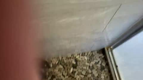 notme710 online show from 12.22.25