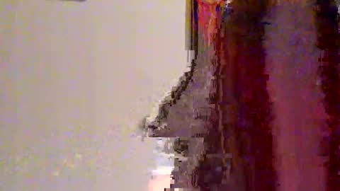 Snapshot of novahexx chatting on 04.13.26 novahexx online show from 04.13.26