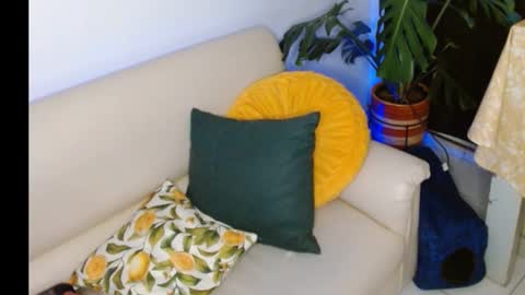 novaperotti online show from 10.08.25