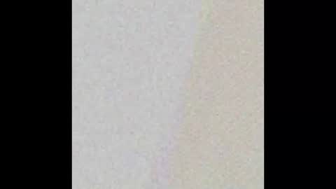 Snapshot of nycsupplier chatting on 02.21.26 nycsupplier online show from 02.21.26