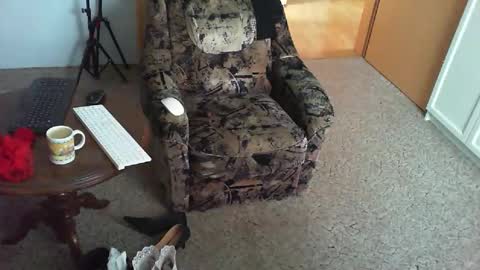 Strumpfhose online show from 11.03.25