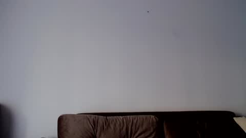 o_r_b_i_t online show from 12.19.24