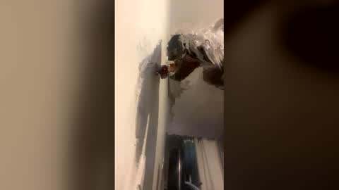 Kira online show from 12.14.25