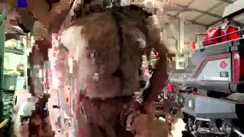 Snapshot of odang_13 chatting on 02.21.26 odang_13 online show from 02.21.26