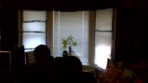 Snapshot of oflores77 chatting on 02.16.26 oscar flores online show from 02.16.26