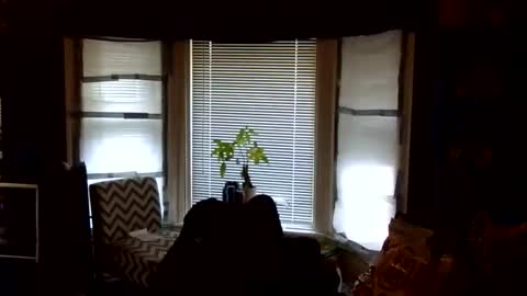 Snapshot of oflores77 chatting on 02.24.26 oscar flores online show from 02.24.26