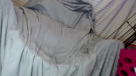 OGDigBick online show from 02.01.25