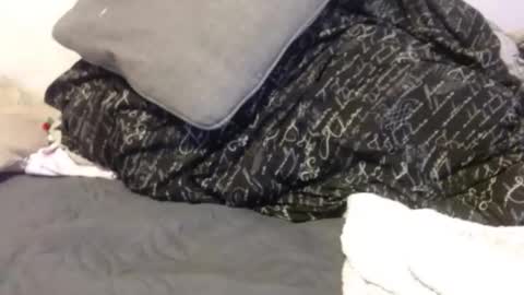 OGDigBick online show from 01.06.26