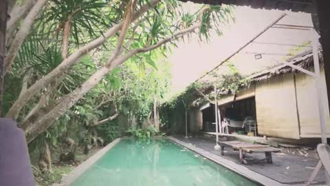 Mo online show from 11.18.25