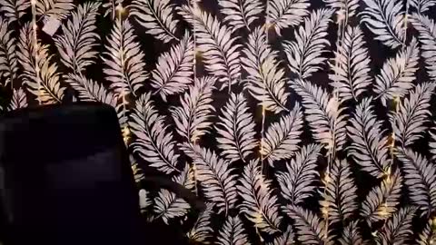 Kelly online show from 01.11.25