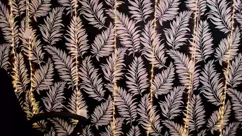 Kelly online show from 03.02.25