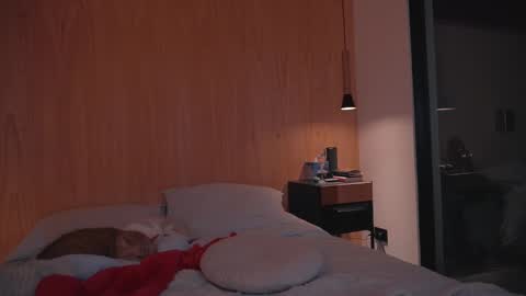 Ariel online show from 12.27.24