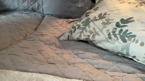 Snapshot of onthedlhere chatting on 01.09.25 onthedlhere online show from 01.09.25