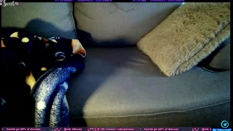  OF - Ooh 69sweet SNAP4LIFE OFFLINE  899 normal  VIP 1369 outside  online show from 11.05.25