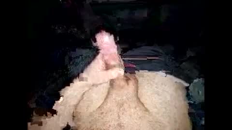 Snapshot of opelator chatting on 01.27.25 opelator online show from 01.27.25