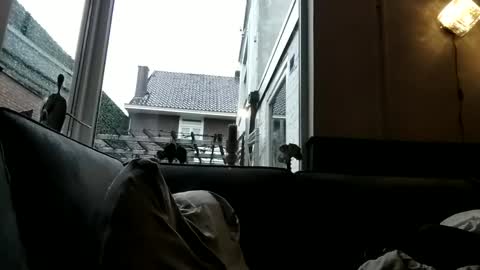 Snapshot of openmindedx8 chatting on 12.30.24 Openminded online show from 12.30.24