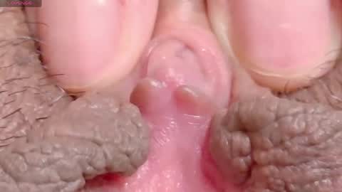 orchidekitty online show from 04.16.26