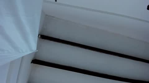 Miss Guzman  online show from 01.27.25