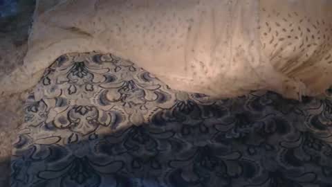 originalcali95 online show from 03.01.26