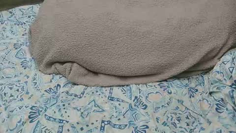 originalcali95 online show from 05.07.26