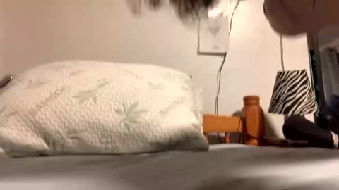 ozzy727 online show from 02.23.26