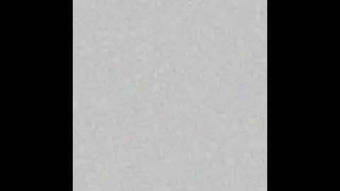 Snapshot of p0rsche911 chatting on 12.01.24 Alice online show from 12.01.24