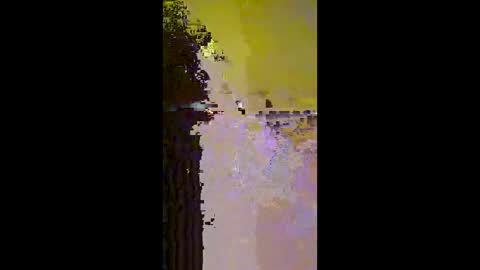 Mr. Pac online show from 12.14.25