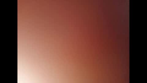 Snapshot of pala3441 chatting on 01.11.25 PALA online show from 01.11.25