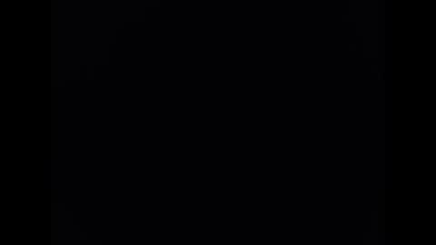 Snapshot of pala3441 chatting on 01.18.25 PALA online show from 01.18.25