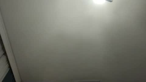 Snapshot of pala3441 chatting on 01.27.25 PALA online show from 01.27.25