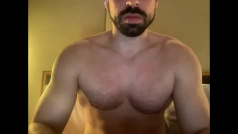 paljp online show from 02.11.26