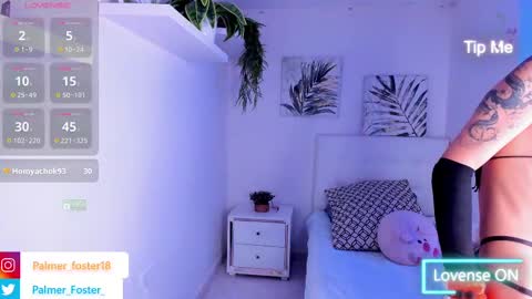 Palmer  online show from 03.01.25