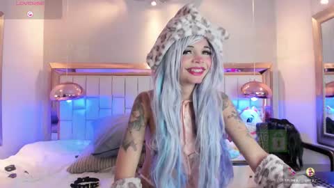 Palmer  online show from 11.15.25